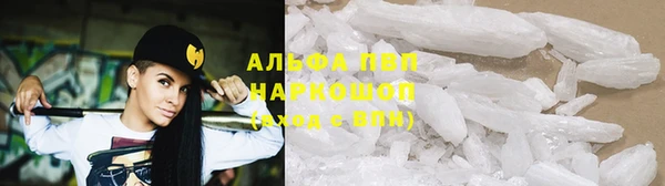 гашик Алексеевка