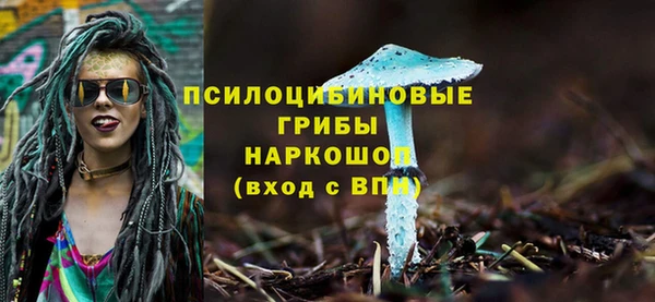 дурь Абаза