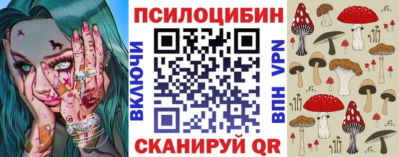 Псилоцибиновые грибы Psilocybine cubensis  Камышлов 